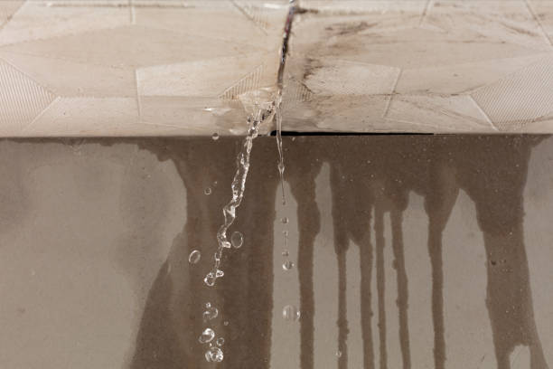 Professional Flood Damage Cleanup technician working in Surgoinsville, TN